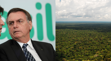 Atual presidente do Brasil, Jair Bolsonaro, e foto aérea da Amazônia brasileira - Wikimedia Commons / Palácio do Planalto e Wikimedia Commons / Andre Zumak