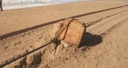 Um dos objetos encontrados em praia da Bahia - Divulgação/ Limpurb
