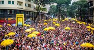 Fotografia mostrando carnaval de 2020 - Divulgação/ Prefeitura de São Paulo/ Edson Lopes Jr.