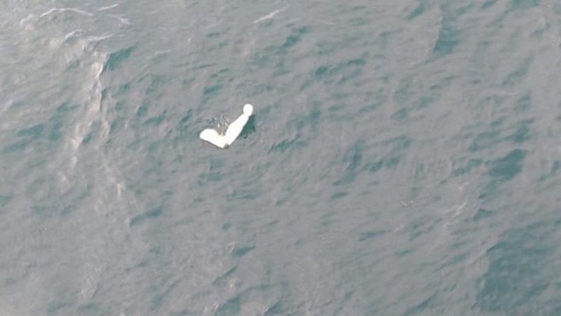 Destroços de avião no mar em Ubatuba - Divulgação/g1