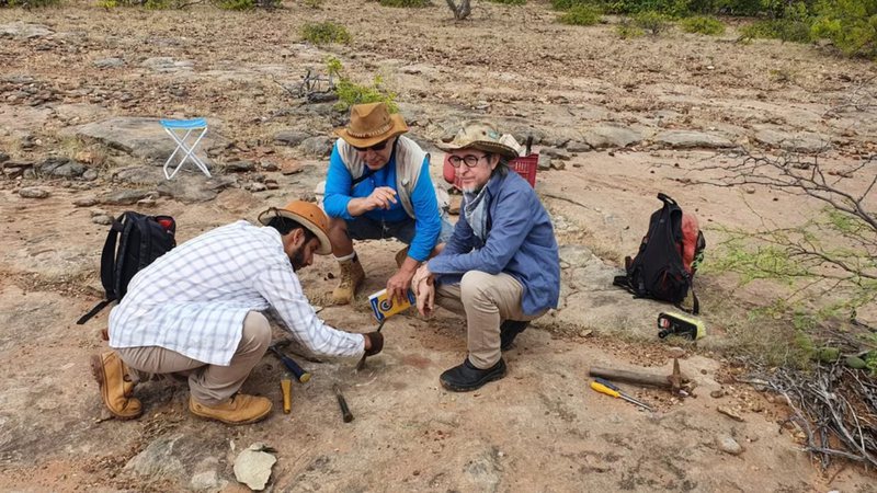 Pesquisadores da UFPE identificaram dinossauro mais antigo descoberto no nordeste brasileiro - Cortesia / Universidade Federal de Pernambuco