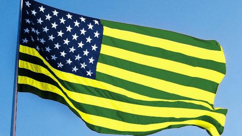 Bandeira dos Estados Unidos do Brasil - Domínio Público