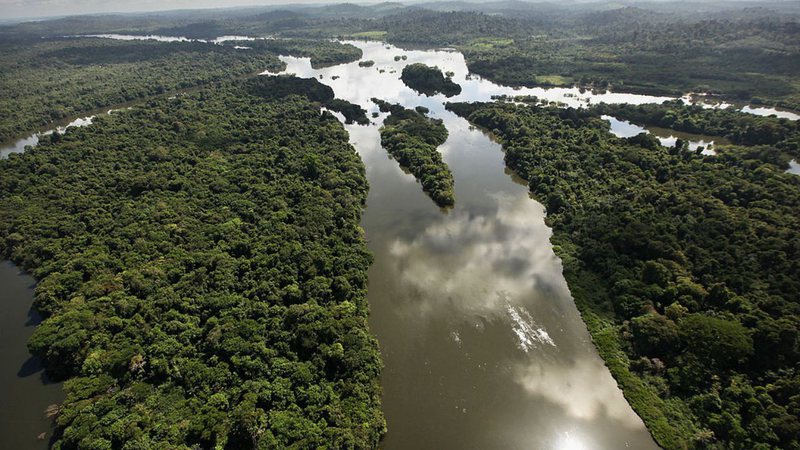 Imagem aérea de floresta amazônica - Getty Images