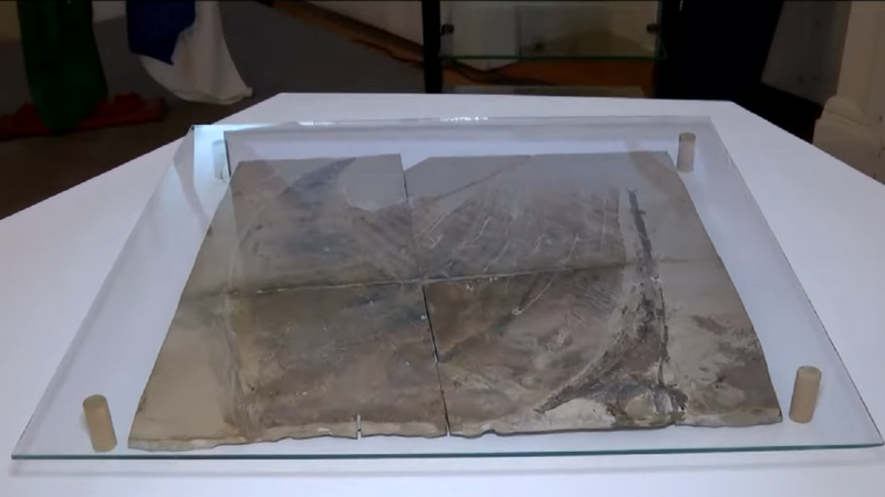 Fóssil de Pterossauro encontrado na Bacia do Araripe, no Ceará - Divulgação / Youtube (CNN Brasil)
