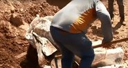 Fóssil sendo retirado de fazenda - Divulgação/g1