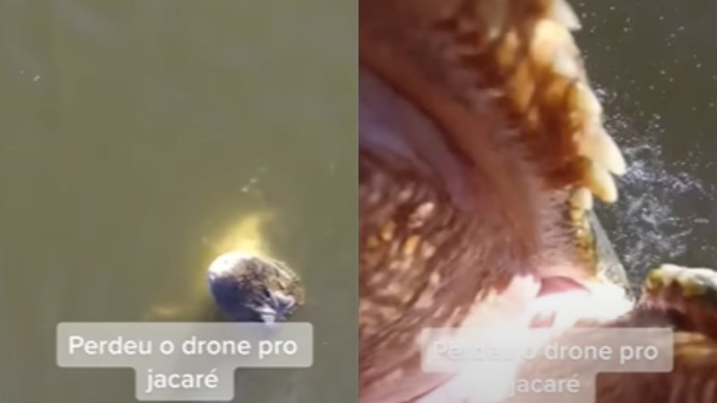 Drone abocanhado por jacaré em pleno voo filmava no momento do ocorrido - Divugação/YouTube/UOL