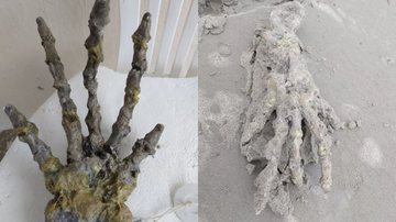 Suposta 'mão gigante' encontrada no litoral paulista - Reprodução/Facebook