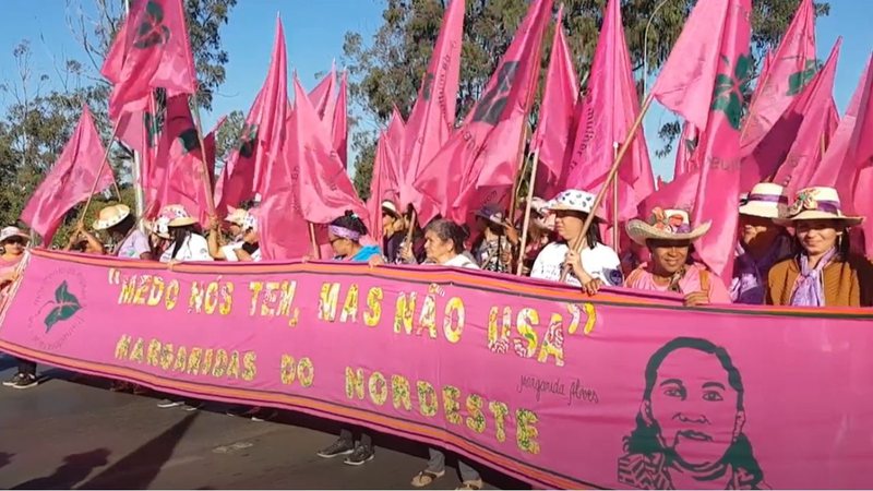Marcha das Margaridas, em 2019 - Divulgação / Youtube / Articulação Semiárido
