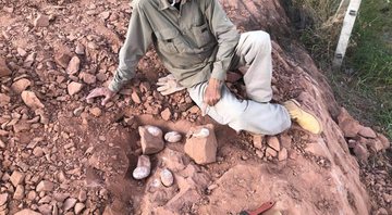 O paleontólogo William Nava ao lado dos ovos descobertos - Divulgação / William Nava