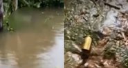 Rio onde os corpos foram encontrados e munição no local dos crimes - Divulgação/g1 Pará e TV Liberal