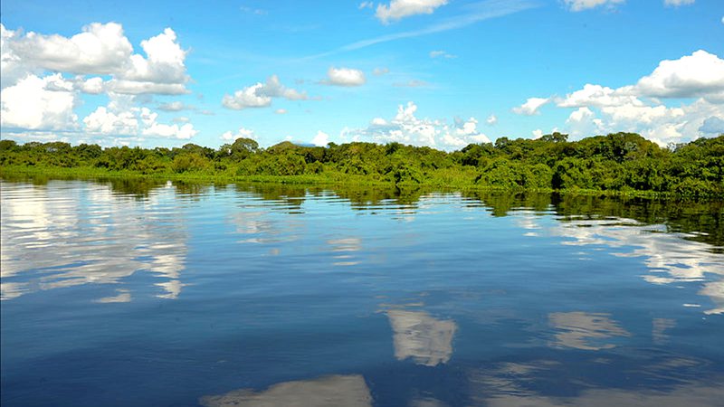 Registro do Pantanal - Wikimedia Commons