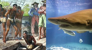 Montagem com retratação de navio negreiro e tubarão - Getty Images