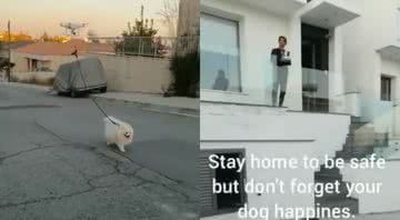 O cachorrinho sendo conduzido pelas ruas do Chipre (à dir.) e seu dono na varanda (à esq.) - Divulgação