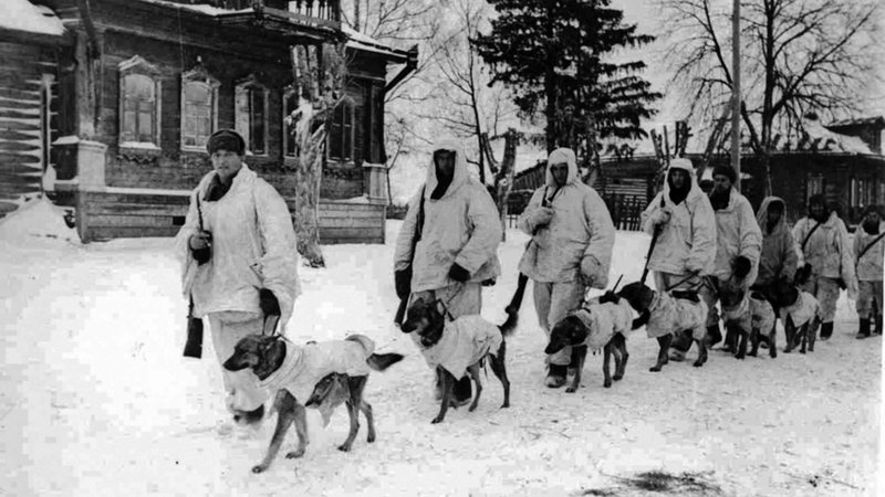 Militares soviéticos e cães anti-ataque durante a Batalha de Moscou, em 1941 - Getty Images