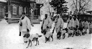 Militares soviéticos e cães anti-ataque durante a Batalha de Moscou, em 1941 - Getty Images