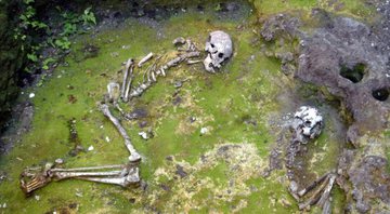 Esqueleto encontrado no sítio - Divulgação