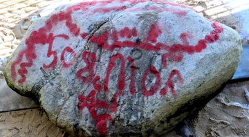 Plymouth Rock grafitada com tinta vermelha - Divulgação