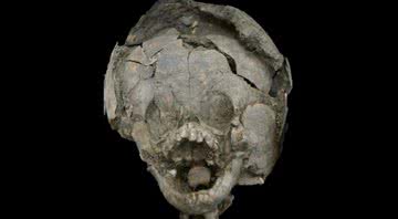 Crânio de bebê encontrado pelos pesquisadores - Sara Juengst / UNC Charlotte