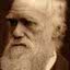 Charles Darwin, naturalista britânico