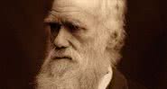 Charles Darwin, naturalista britânico - Créditos: Reprodução/Amazon