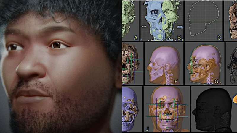 Reconstrução de rosto de fóssil de aproximadamente 35 mil anos de idade - Divulgação / Cicero Moraes / Moacir Santos