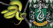 A cobra junto ao emblema que inspirou seu nome - Aamod Zambre and Chintan Seth, Eaglenest Biodiversity Project / Divulgação