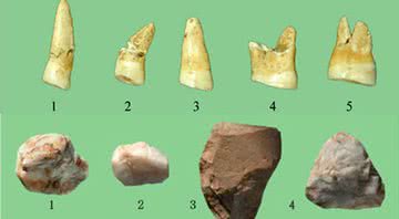 Dentes e artefatos líticos - Pyongyang Times