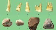 Dentes e artefatos líticos - Pyongyang Times