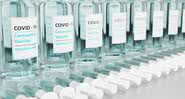 Frascos da vacina contra COVID 19 - Imagem: Reprodução