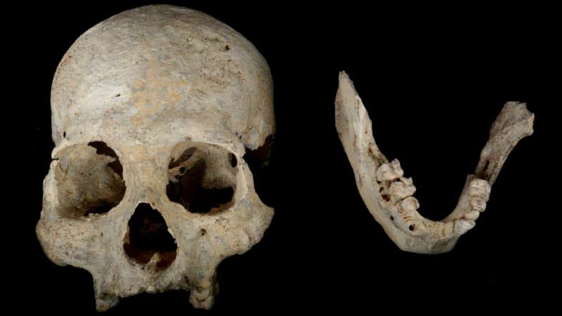 Crânio humano de 10 mil anos encontrado no México - Divulgação/Jerónimo Avilés