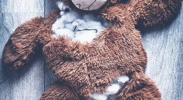 Imagem meramente ilustrativa de um urso rasgado - Imagem de SamWilliamsPhoto por Pixabay