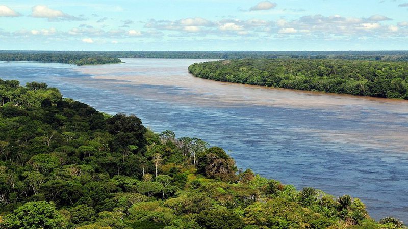 Fotografia de trecho da floresta amazônica - Divulgação/ Neil Palmer/ CIAT