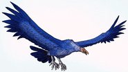 Ilustração de como seria o Argentavis magnificens, a maior ave voadora que já existiu - Imagem por Radomil pelo Wikimedia Commons