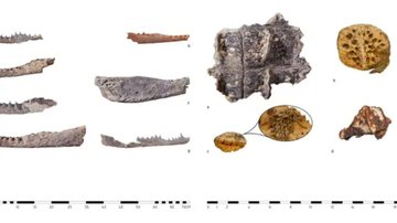 Os restos encontrados consistiam em fragmentos de crânio e mandíbula, dentes soltos e placas ósseas dos crocodilos - Divulgação/Patryk Chudzik/Centro de Arqueologia Mediterrânea da Universidade de Varsóvia