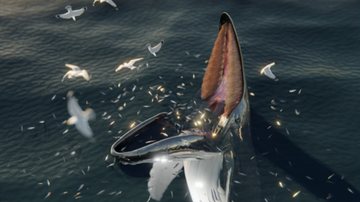 Reconstrução artística digital de uma baleia-jubarte usando o método de armadilha para conseguir alimentos - Divulgação/J. McCarthy