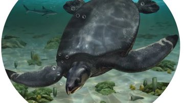 Ilustração da tartaruga Leviathanochelys aenigmatica - Divulgação / ICRA_arts