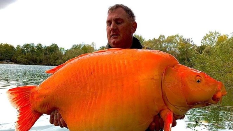 Andy Hackett com a carpa enorme que ele capturou, com 30 quilos - Reprodução/Facebook