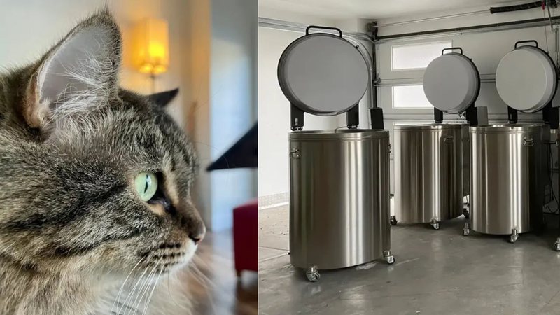 Montagem mostrando o gato do fundador da Cryopets, e tanques criogênicos para animais de estimação - Divulgação/ Arquivo Pessoal/ Kai Mills