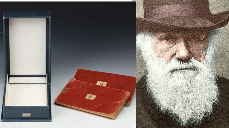 Montagem com fotografia de cadernos de Darwin à esquerda, e uma pintura mostrando o naturalista à direita