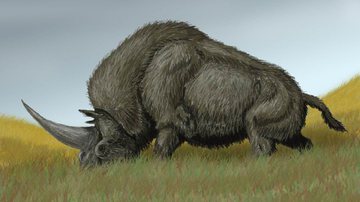 Representação do rinoceronte Elasmotherium sibericum - DiBgd via Wikimedia Commons