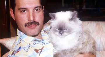 Freddie Mercury com sua gatinha Tiffany - Divulgação