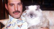 Freddie Mercury com sua gatinha Tiffany - Divulgação