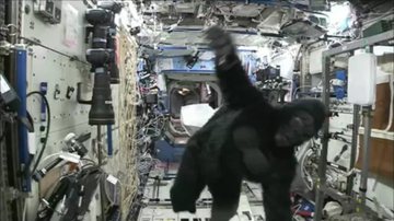 O astronauta Scott Kelly fantasiado - Reprodução/Vídeo