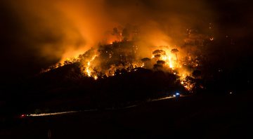 Imagem meramente ilustrativa de incêndio florestal - Divulgação/ Pixabay/ Sammy-Williams