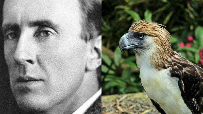 J. R. R. Tolkien em 1940 e imagem ilustrativa de águia - Domínio Público via Wikimedia Commons e foto de Janssen Panizales no Pexels