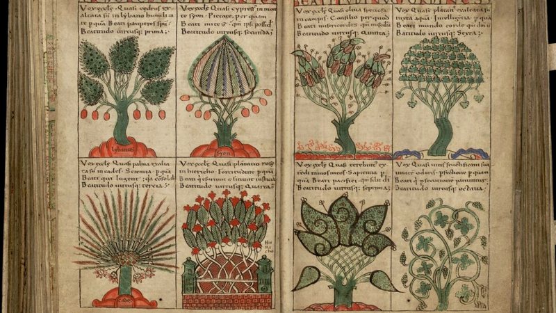 Página da Liber Floridus, enciclopédia medieval compilada entre 1090 e 1120 - Domínio Público