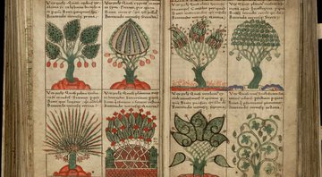 Página da Liber Floridus, enciclopédia medieval compilada entre 1090 e 1120 - Domínio Público