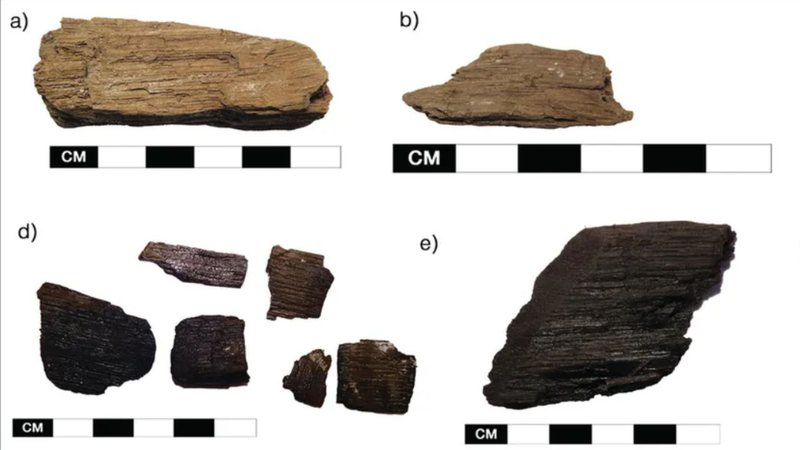 Fotografia de fragmentos de madeira analisados - Divulgação/ Lísabet Guðmundsdóttir