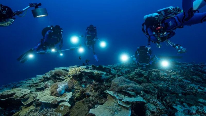 O recife de corais descoberto na ilha Taiti