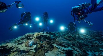O recife de corais descoberto na ilha Taiti - Divulgação/UNESCO/Alexis Rosenfeld/1 Ocean